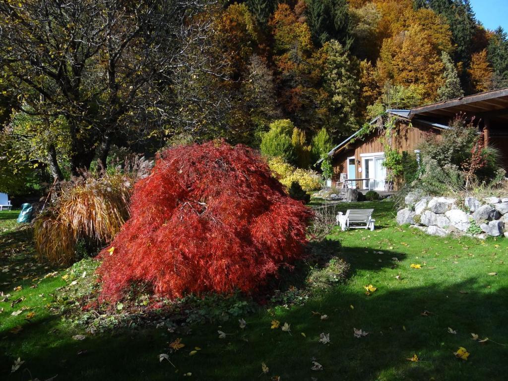 Gästehaus Bühler Oberstdorf Habitación foto